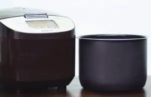 rice cooker with stainless steel inner pot