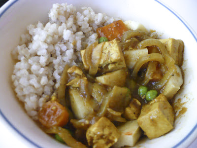 Japanese Tofu Curry Recipe | Easy & Delicious Way to Make it